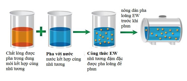 EW (Concentrated Aqueous Emulsion) Công thức nhũ tương dầu trong nước