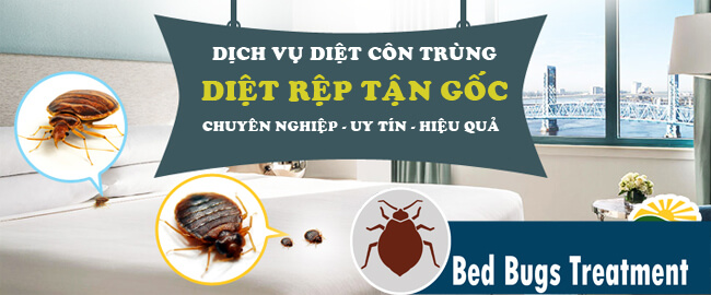 dich-vu-diet-rep-tan-goc-chuyen-nghiep-cong-ty-pesticide